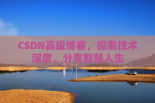 CSDN高级博客，探索技术深度，分享智慧人生